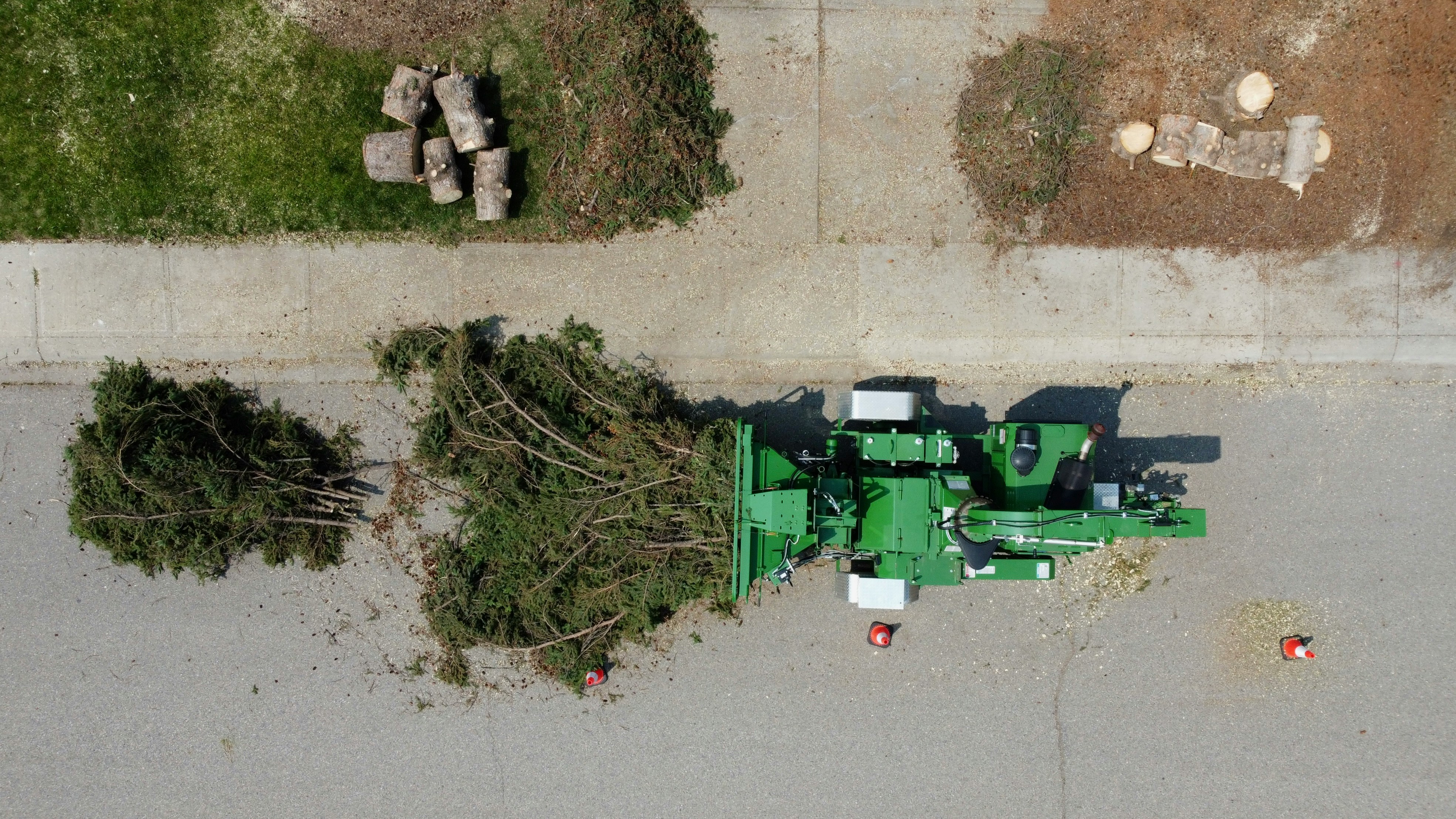 Stump grinding at an Austin jobsite